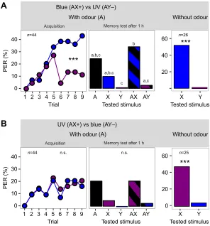 Fig. 6. Acquisition trials and memory test in differentialolfactoryWilcoxon signed rank test, ***the rewarded compound (Psignificant during the memory test in A but not for B