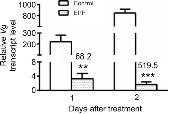 Fig. 7. Effect of I. fumosorosea