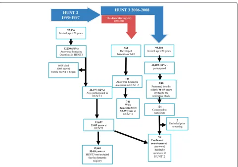 Fig. 1 Flow diagram of the study population