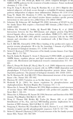 Figure S2Fyn and LKB1 interaction does not affectMO25/LKB1 binding.were transfected with pcDNA-His-Fyn and endogenous LKB1 wasimmunoprecipitated