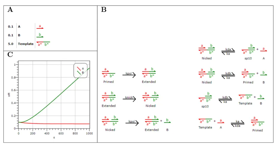 Figure 3. Visual DSD implementation of a catalytic DNA toolbox circuit. The circuit design and associated kinetic parameters were originally proposedcolumn), with ratescolumn), with ratesby Montagne et al.15 (A) Initial concentrations (nM) of strands A, B,