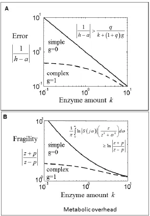 Figure 2.3.  Tradeoffs between waste, fragility, and complexity due to enzyme complexity and amount