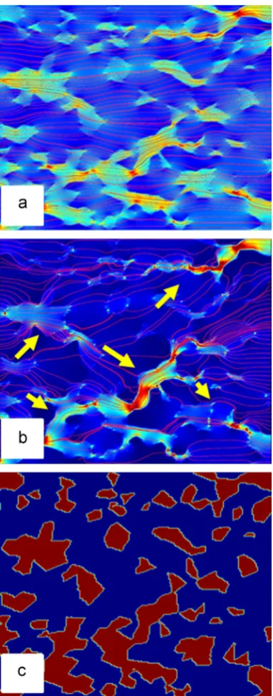 Fig. 5. FE Modelled results of magnetic(c) processed micrograph showing phase distribution of ferrite (red) and pearlite/austenite (blue)