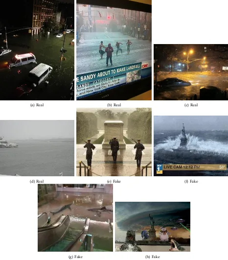 Fig. 1: Examples of pictures posted on Twitter during the effects of Hurricane Sandy.