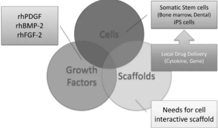 Figure 10 Current progress in the development of the triad for periodontal tissue engineering.