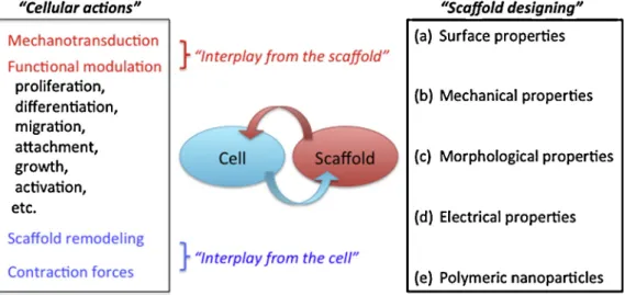 Figure 3 Cell—scaffold interplay and the components of scaffold designing.