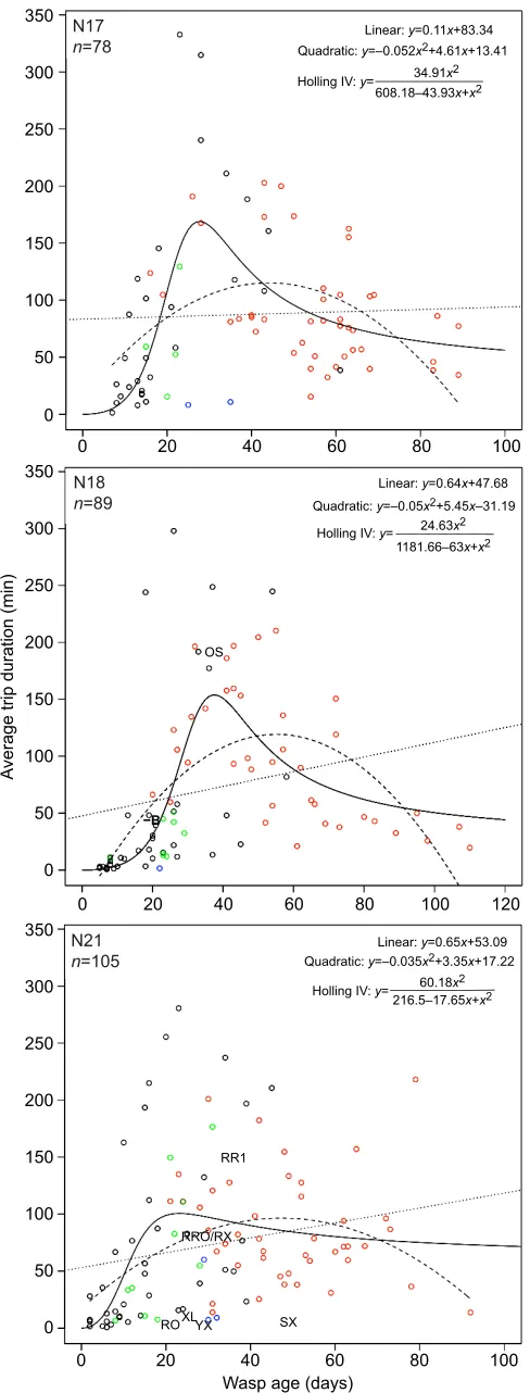 Fig. 4. Change in average foraging duration with age. Average foragingduration per trip was also explained best by a Holling type IV function (solidline), which is characterised by a rapid initial ascent and, after reaching a peak,a gradual descent