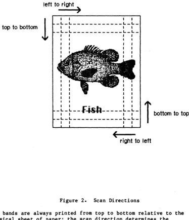 Figure 2. Scan Directions 