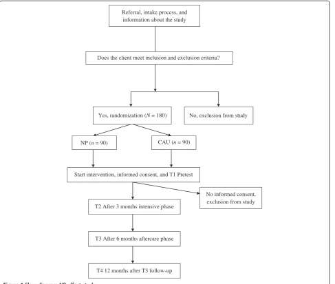 Figure 1 Flow diagram NP effect study.