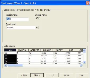 Figure 5.13: Text Import Wizard - Step 5 of 6.