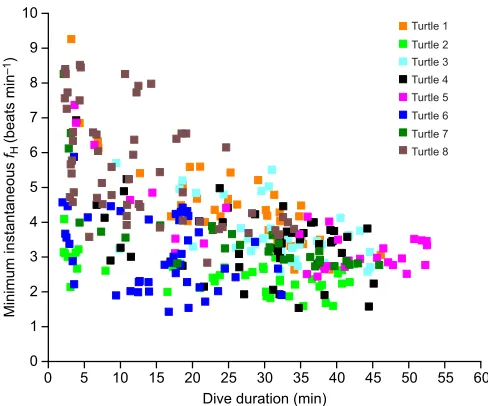 Fig. 5. fversus dive duration. (B) DivingH during dives of 2015 loggerhead turtles. (A) Total heart beats fH versus dive duration