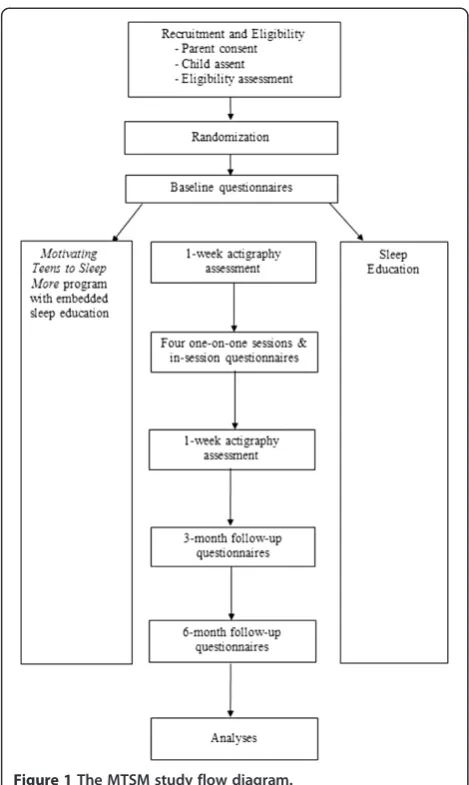 Figure 1 The MTSM study flow diagram.