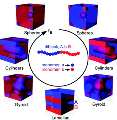 Figure 1.6: Equilibrium morphologies observed linear AB diblock polymers, the simplest polymer architecture