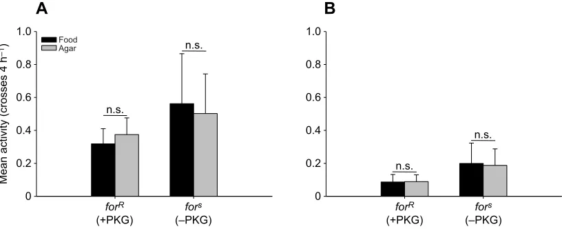 Fig. 3. Activity during stress is not affected by foraging behavior regardless of age