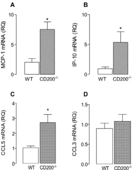 Fig. 8. Expression of MCP-1, IP-10 and RANTES mRNA was increased in hippocam-pal tissue prepared from CD200-deﬁcient mice