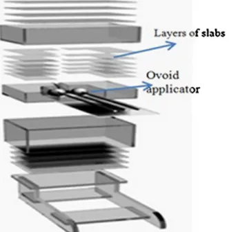 Fig. 1 – Schematics of different layers of the phantom and Oviod applicator.