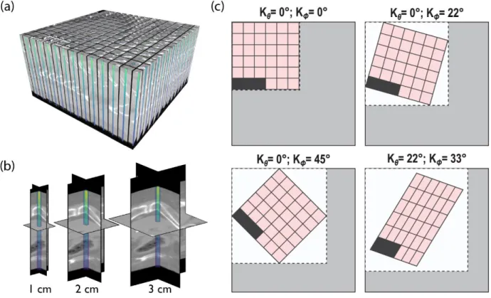 Figure  3-3.  (a)  Visualization  of  the  beamlet  context  array  for  a  single  beam  including  contextual densities and beamlet-specific  dose  after calculation