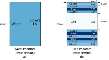 Figure 3-5. Cross sections of phantom geometries with beam entering from the top; used to  assess dosimetric accuracy