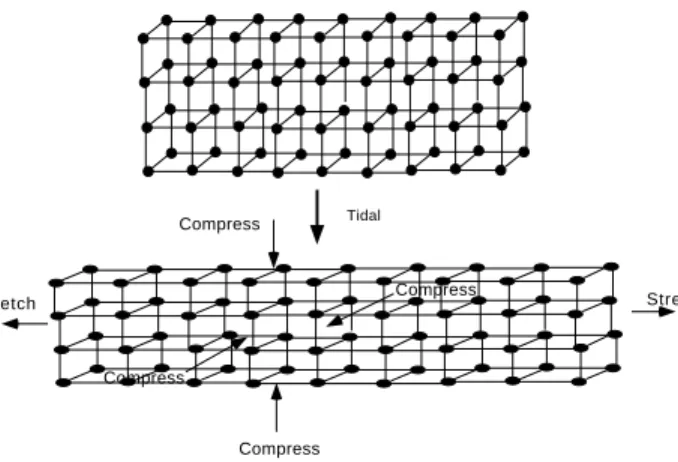 Figure 8.7: Tidal Distortion of an Elastic Solid The tidal distortion of an elastic solid is an extension along one axis and compressions in the other two