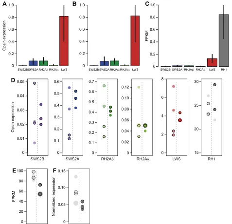 Fig. 5. Opsin and Cyp27c1 expression. (A) Relative cone opsin expression profile ofseparates samples from different sites (clear versus turbid)