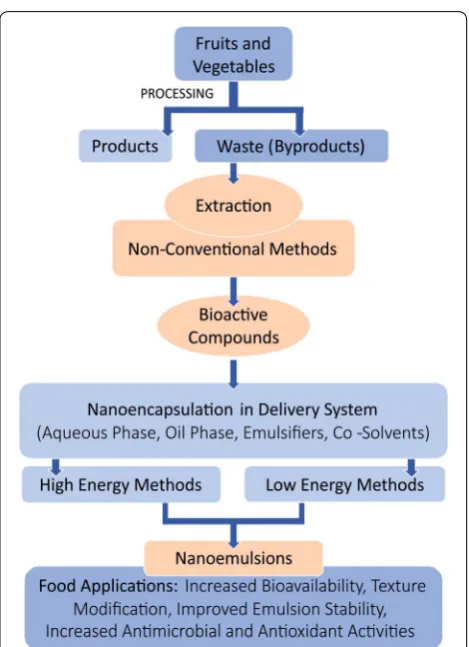 Fig. 1 Schematic representation of extraction and nanoencapsulation of bioactive compounds from waste and its applications