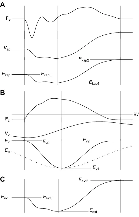 Fig. 2. Calculations of mechanical work. In each ofthe difference betweenminimumtoe-off (each step as the difference between the minimumoff (between Ekap (A), Ev (B) and Eext(C), the periods between landing and the point at which the energy valuebecomes mi