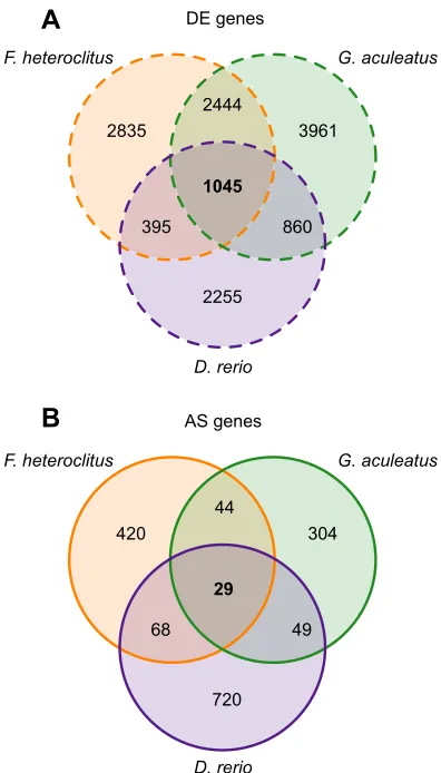 Fig. 3. Venn diagrams displaying the numbers of common differentiallyexpressed (DE) or alternatively spliced (AS) genes as a result of coldacclimation among killifish (orange), stickleback (green) and zebrafish(purple)