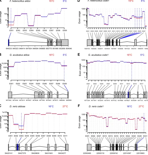 Fig. 4. Plots of relative exon expression (usage) in cold-acclimated (solid blue lines) and warm-acclimated (solid red lines) fish for two orthologsin the three study species as a result of cold acclimation.stickleback (B,E) and zebrafish (C,F)