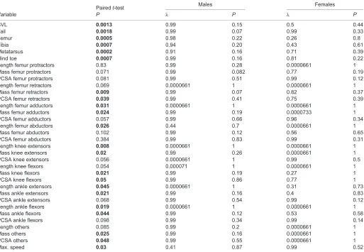 Table 1. Summary table reporting the results of the analysis of sexual dimorphism (paired t-test) and the phylogenetic signal (Pagel’s lambda)in the data