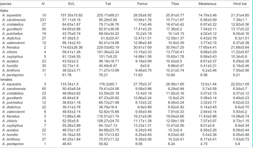 Table 3. Morphometrics of the specimens caught in the field (means±s.d. in mm)