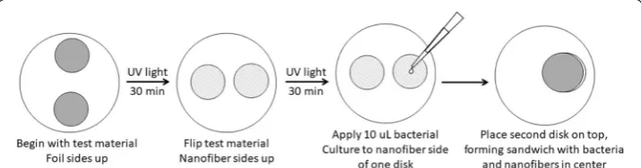Fig. 1 Sterilization of samples with ultraviolet light and application of initial bacterial load