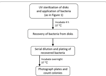 Fig. 2 Schematic overview of the test method. The test method runs over 2 days. On the morning of day 1, samples are sterilized with UV light and bacteria are applied before a 4 h incubation