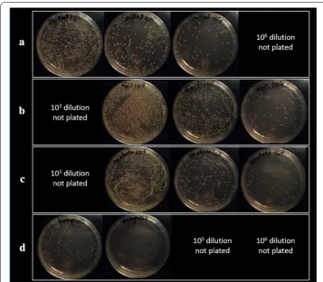 Fig. 3 Representative images of applied to the samples, as well as recovered from the samples, was quantitated based upon the number of bacterial colonies growing on TSA plates after overnight incubation at 37 °C