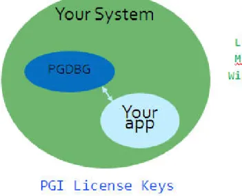 Figure 1.1. Local Debugging Licensing