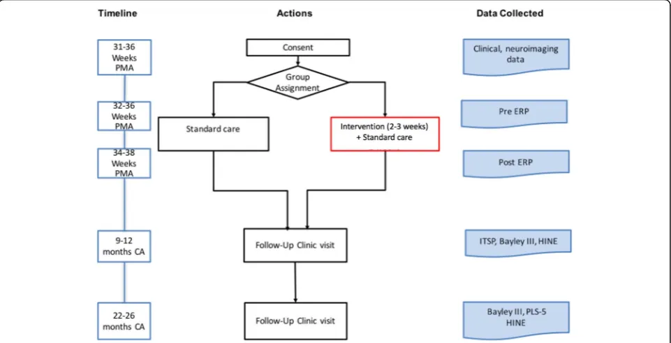 Fig. 1 Study process flow. (Bayley III, Bayley Scales of Infant and Toddler Development Third ed.; CA, corrected age; ERP, Event-related Potentialmeasurement; HINE, Hammersmith Infant Neurological Exam; ITSP, Infant Toddler Sensory Profile; PLS-5, Preschool Language Scales-5; PMA, postmenstrual age)