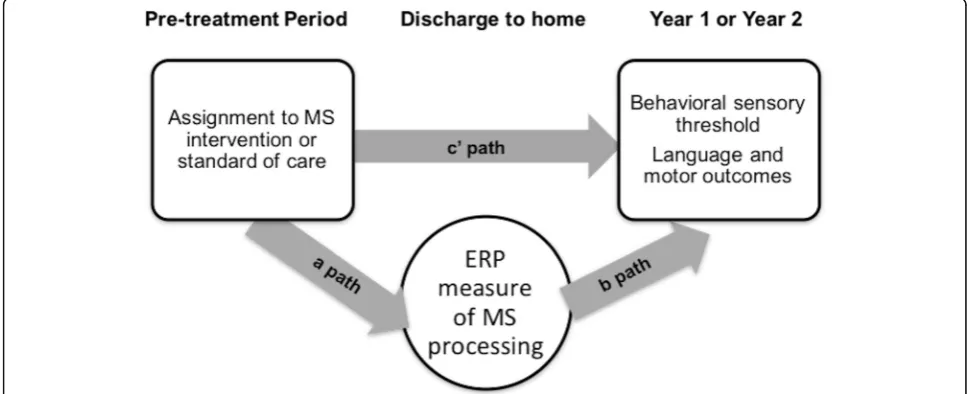 Fig. 2 Mediation analysis model. The a-path is the main effect of treatment on the ERP measure of multisensory processing