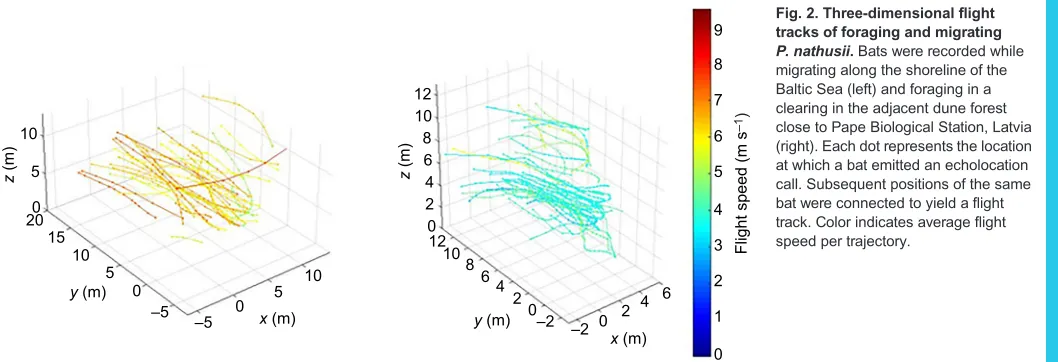 Fig. 2. Three-dimensional flight