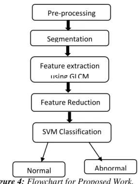 Figure 3 (a): Input Image (b) Segmented  Image (c).Output Image. 