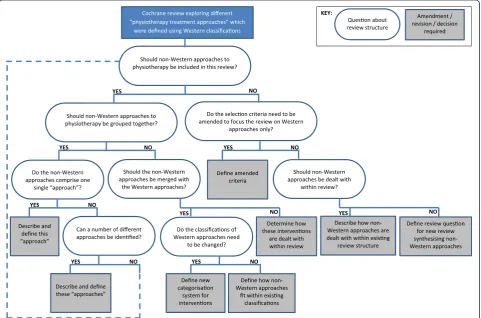 Figure 1 Possible amendments to Cochrane review identified within project plan.