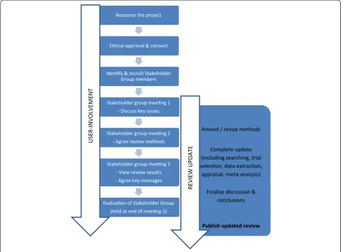 Figure 2 Overview of structured methods of involvement during review update.