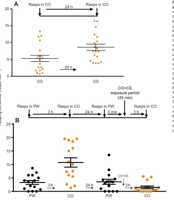 Fig. 6. Simultaneous exposure to CO+CE for 10 min, 2 hbefore training in CO, does not result in memoryenhancement