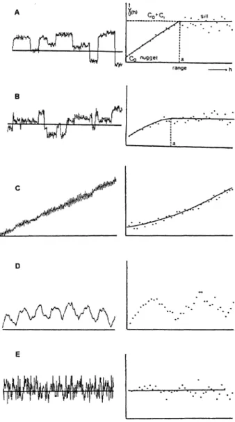 Figure  2.  Some  forms  of  semivariograms  right  and  the  possible forms of  variation  they describe left