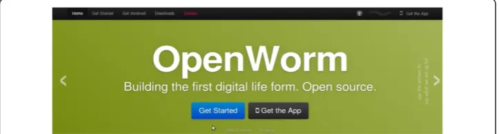 Figure 1 Image taken from the website of the OpenWorm project on the 13th of May 2013,see http://www.openworm.org/.