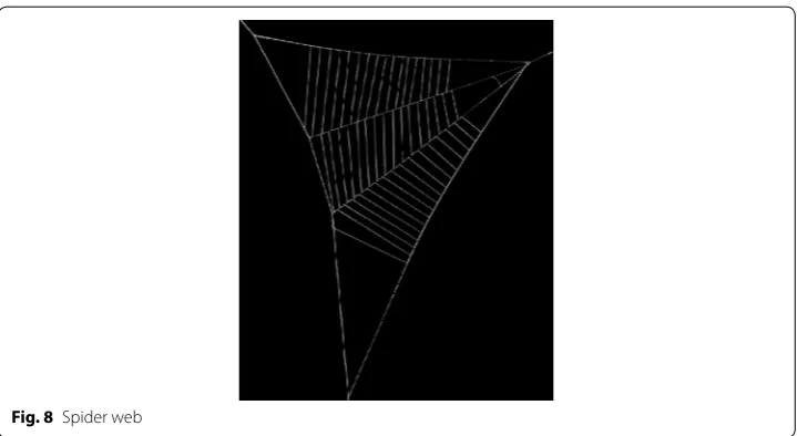 Fig. 8 Spider web