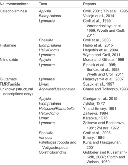 Table 2. Studies reporting morphological descriptions of peripheralsensory cell types in the cephalic sense organs of different gastropodtaxa (not all of which are aquatic)