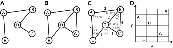 Fig. 1. Alternative hypotheses for spatial knowledge. (A) Route knowledge: a line graph in which nodes denote places and edges correspond to actions.(B) Topological graph: a place graph in which nodes denote places and edges denote paths between them