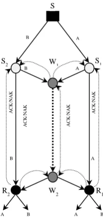 Figure 4.1: The multicast scenario model studied 