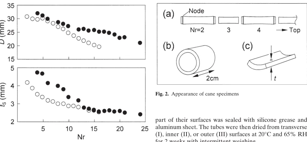 Fig. 2. Appearance of cane specimens