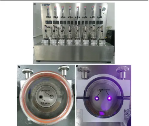 Fig. 1 8-parallel micro-bioreactor system. a General picture; b positions for the optical pH and DO biosensors; c light source