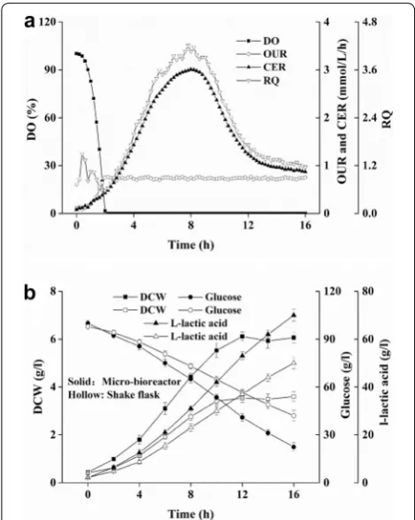 Fig. 6 Time profiles of DO, OUR, CER, and RQ in with a micro-bioreactor (consumption, and L
